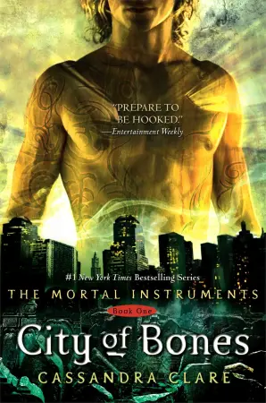 The Mortal Instruments series cover