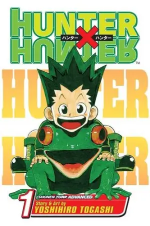 Hunter × Hunter [ハンター×ハンター] series cover