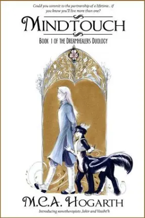 The Dreamhealers series cover